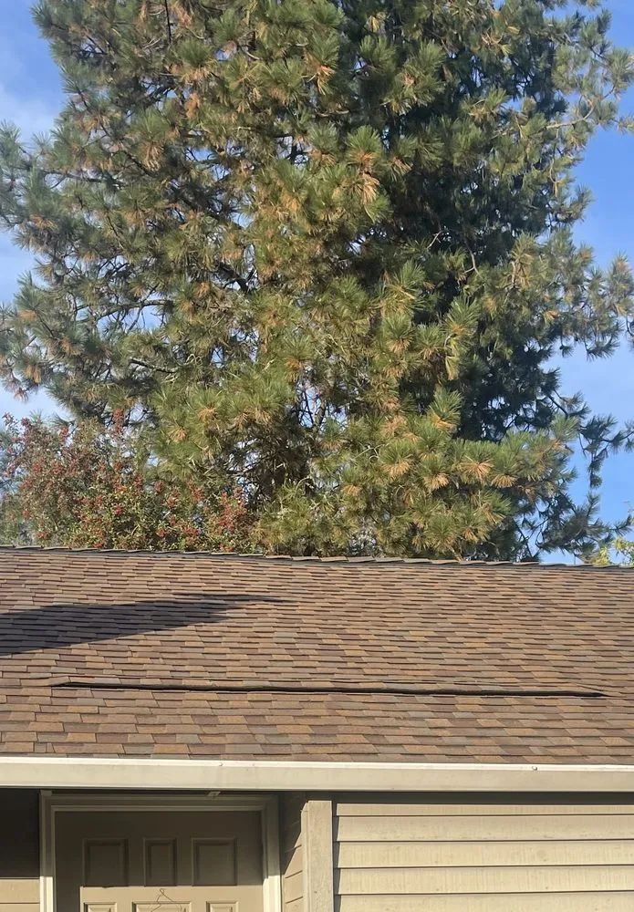 Slide of Schuh Homes