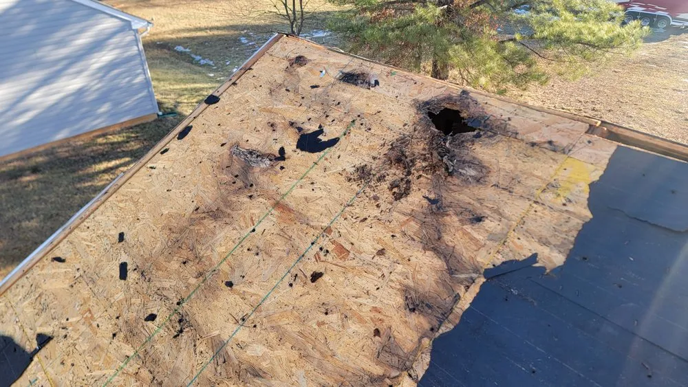 Slide of Scorpion Home Solutions