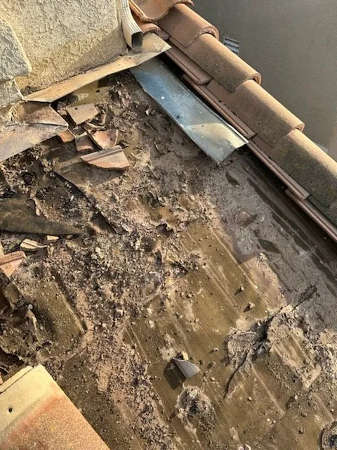 Slide of Scorpion Roofing