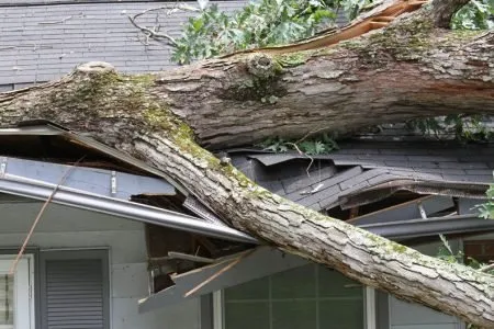 Slide of Scott A1 Roofing and Painting