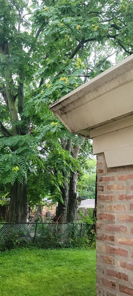 Slide of Scott B Roofing