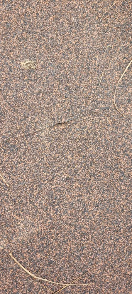 Slide of Scott B Roofing