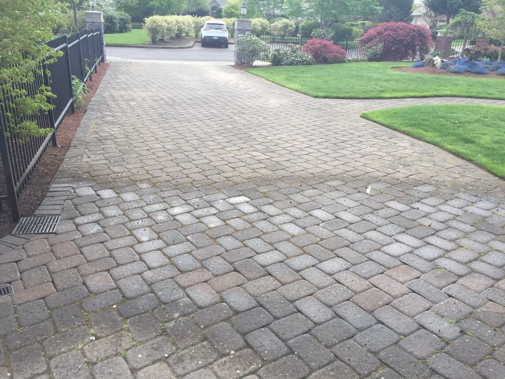 Slide of Scott Gutter Roof Cleaning