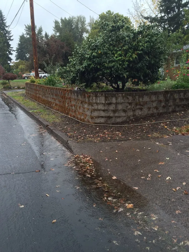 Slide of Scott Gutter Roof Cleaning