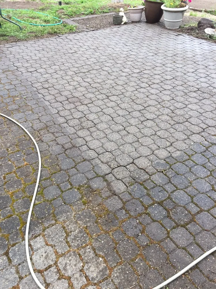 Slide of Scott Gutter Roof Cleaning