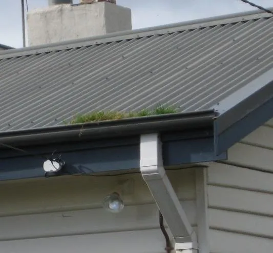 Slide of Scott Miller General Contracting and Seamless Gutter