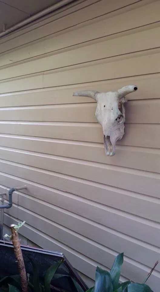 Slide of S&D Home Repair