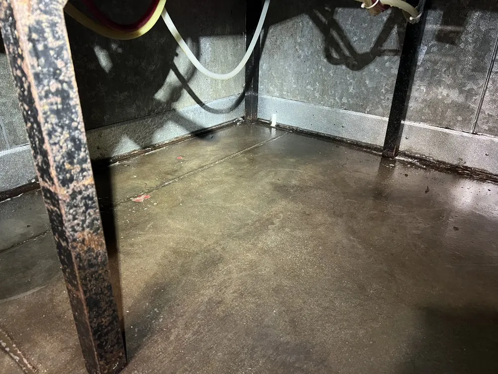 Slide of SD Pressure Pros