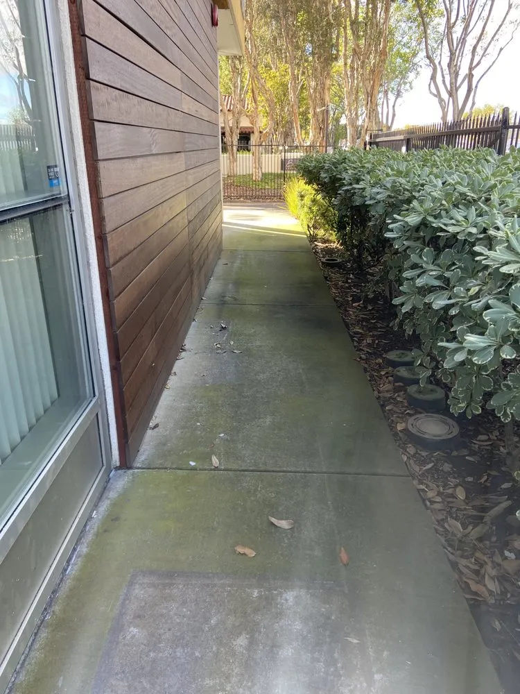 Slide of SD Pressure Pros