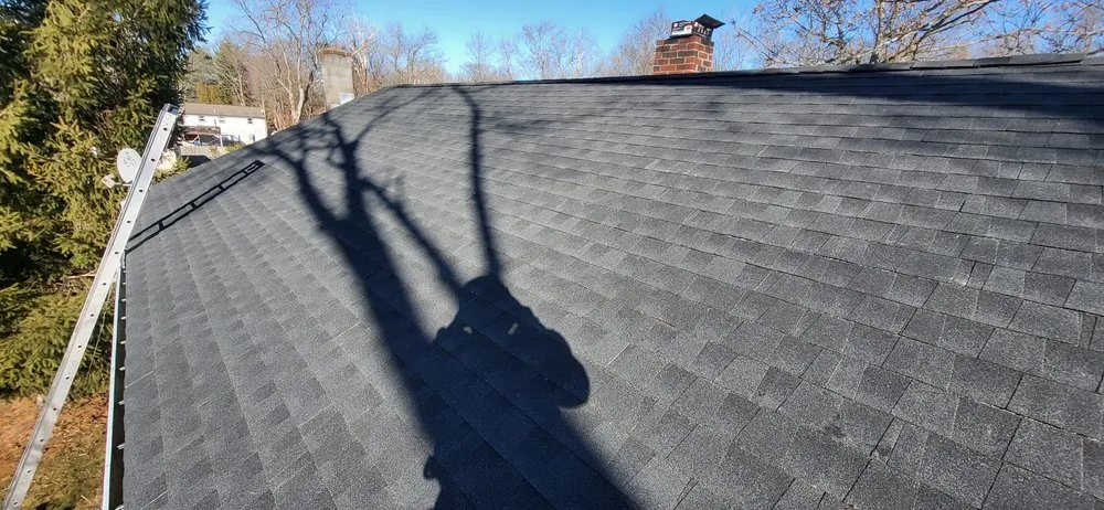 Slide of Sea Bass Roofing