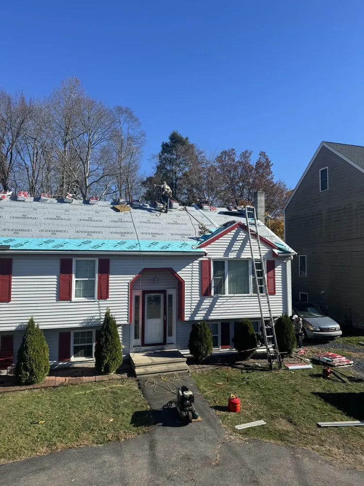 Slide of Sea Bass Roofing