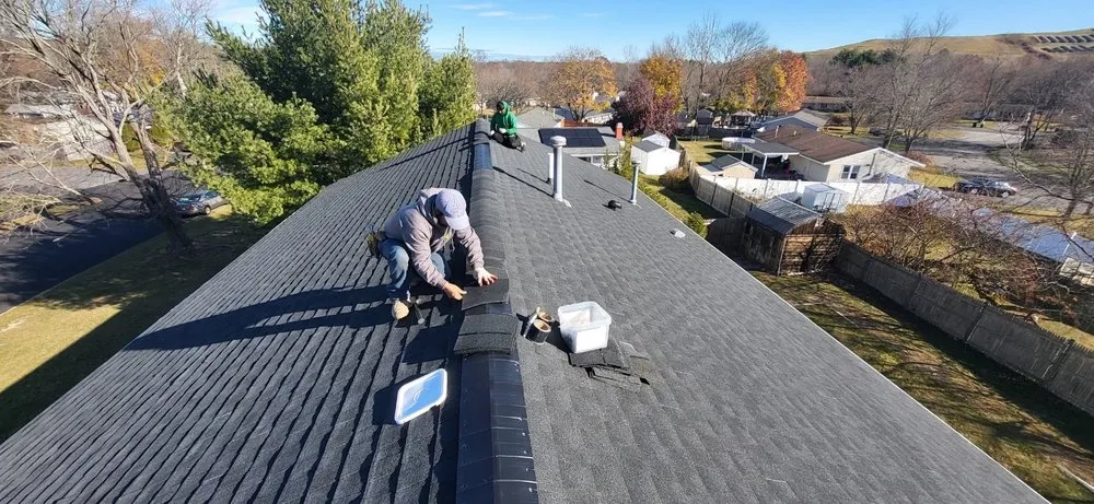 Slide of Sea Bass Roofing