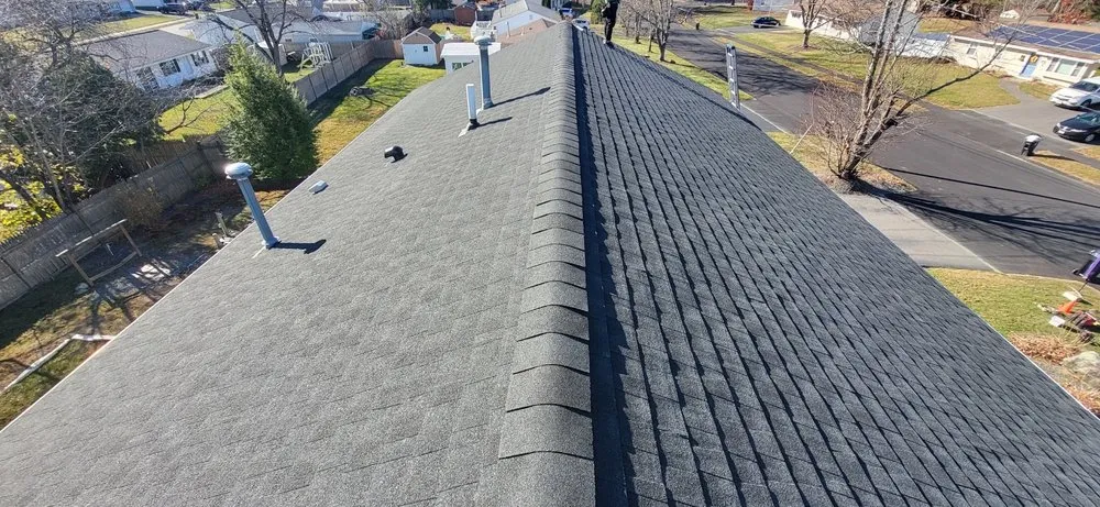 Slide of Sea Bass Roofing