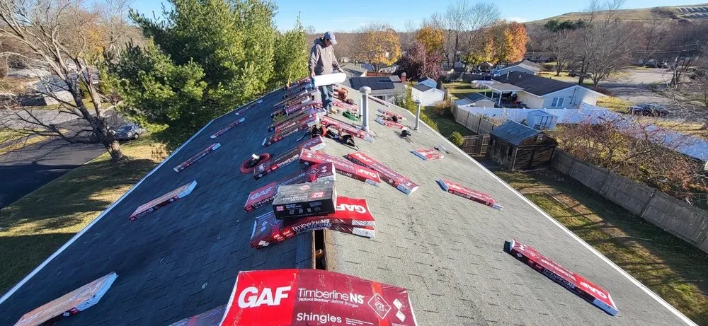 Slide of Sea Bass Roofing