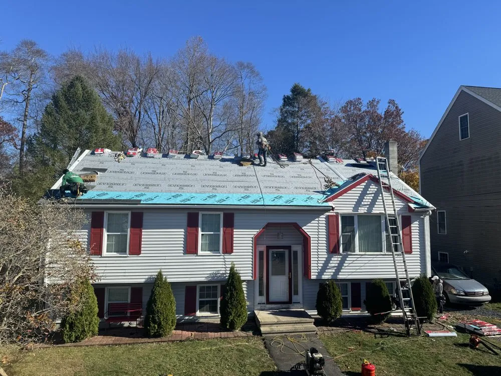 Slide of Sea Bass Roofing