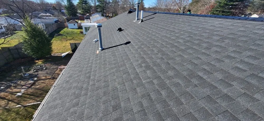 Slide of Sea Bass Roofing