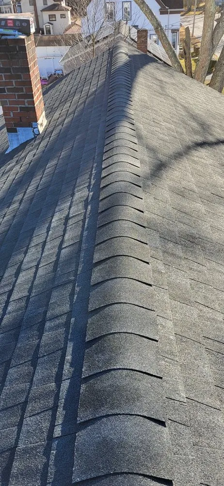 Slide of Sea Bass Roofing