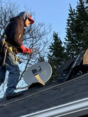 Sea Bass Roofing Logo