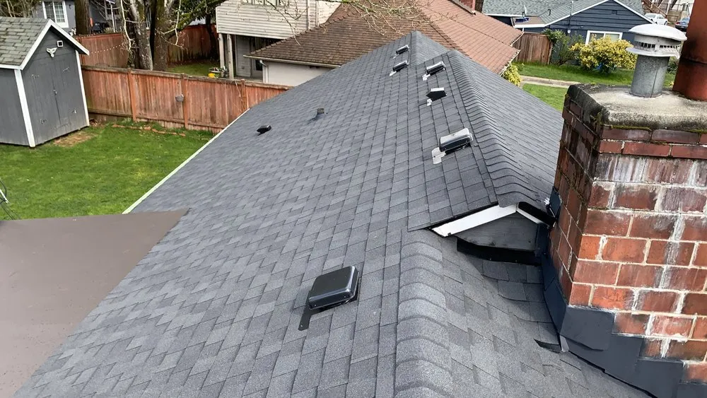 Slide of Sea Renovation