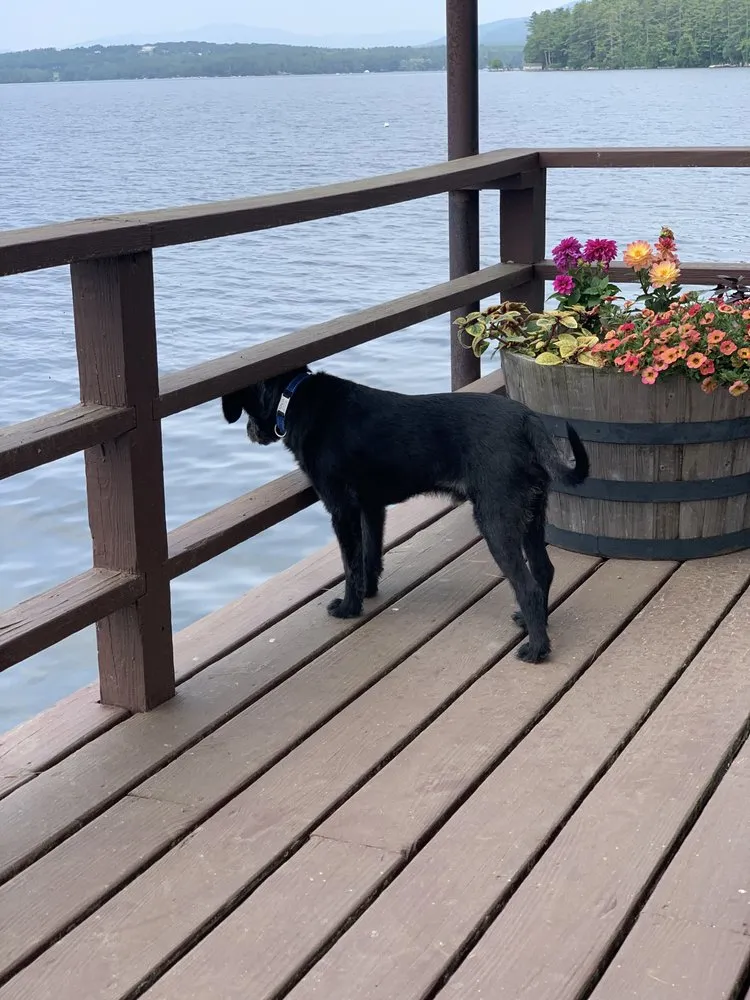 Slide of Seacoast Roofing of NH