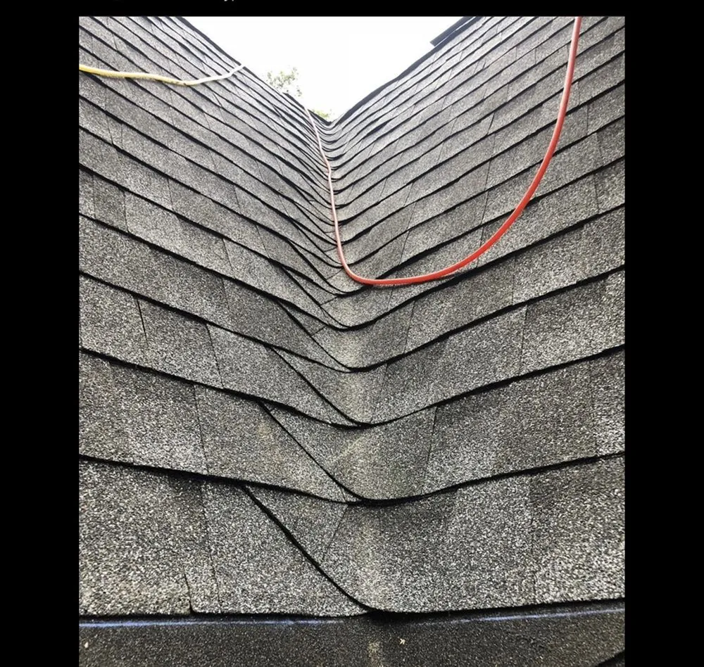 Slide of Seal Source