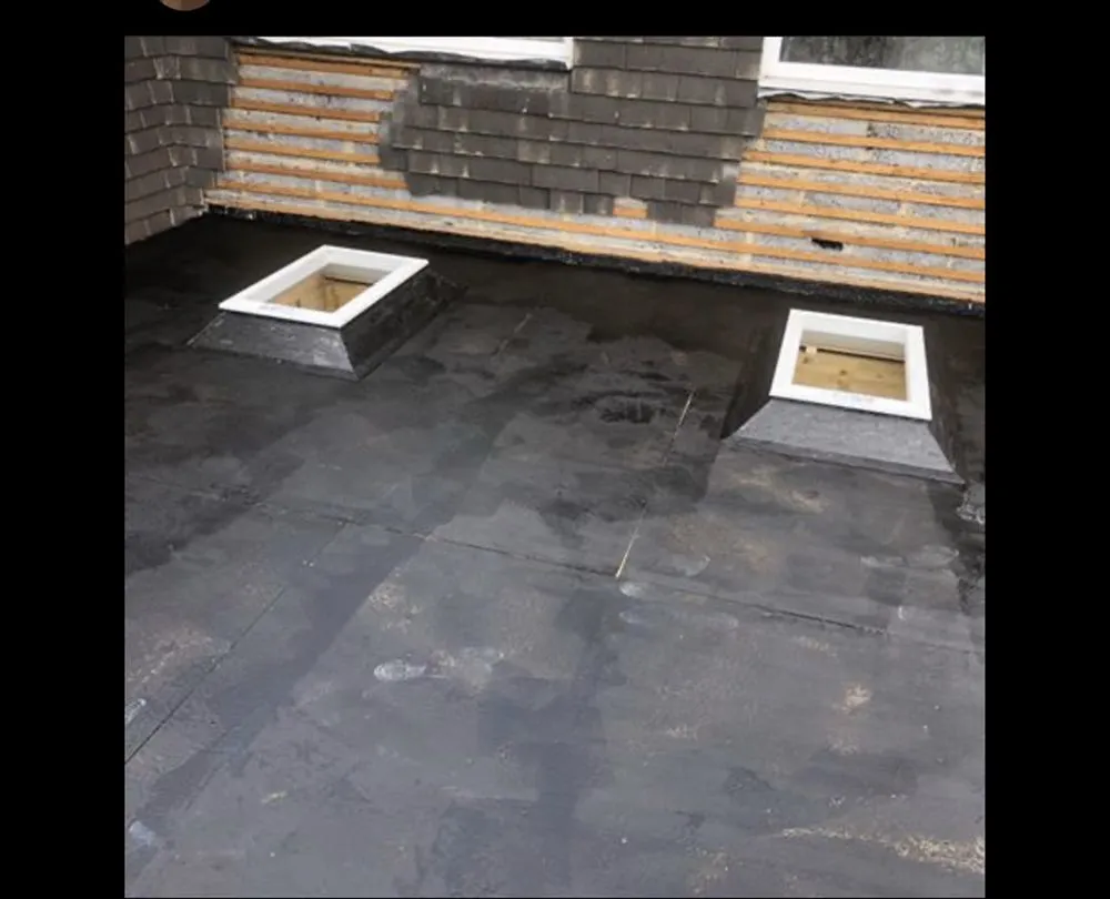 Slide of Seal Source