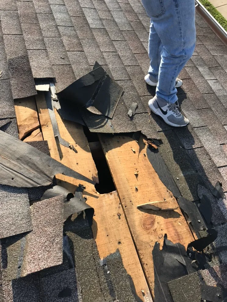 Slide of Seal Source