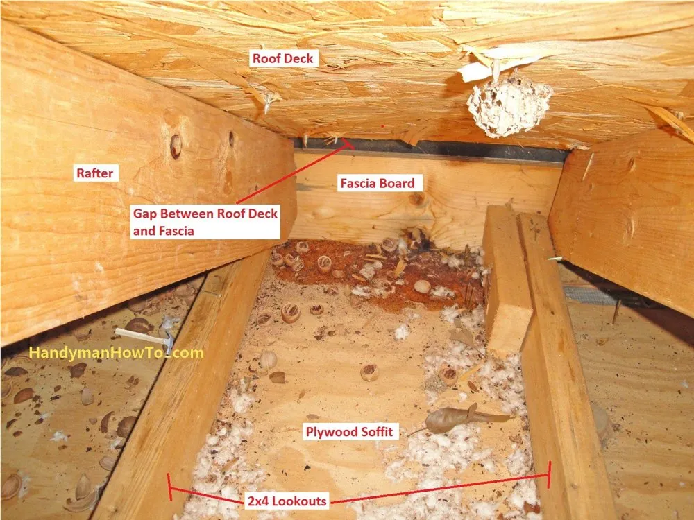 Slide of Seal Source