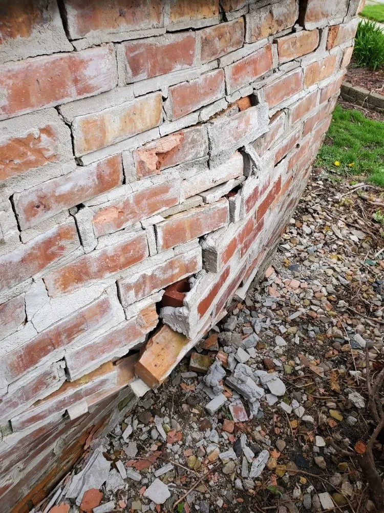 Slide of Seal Source