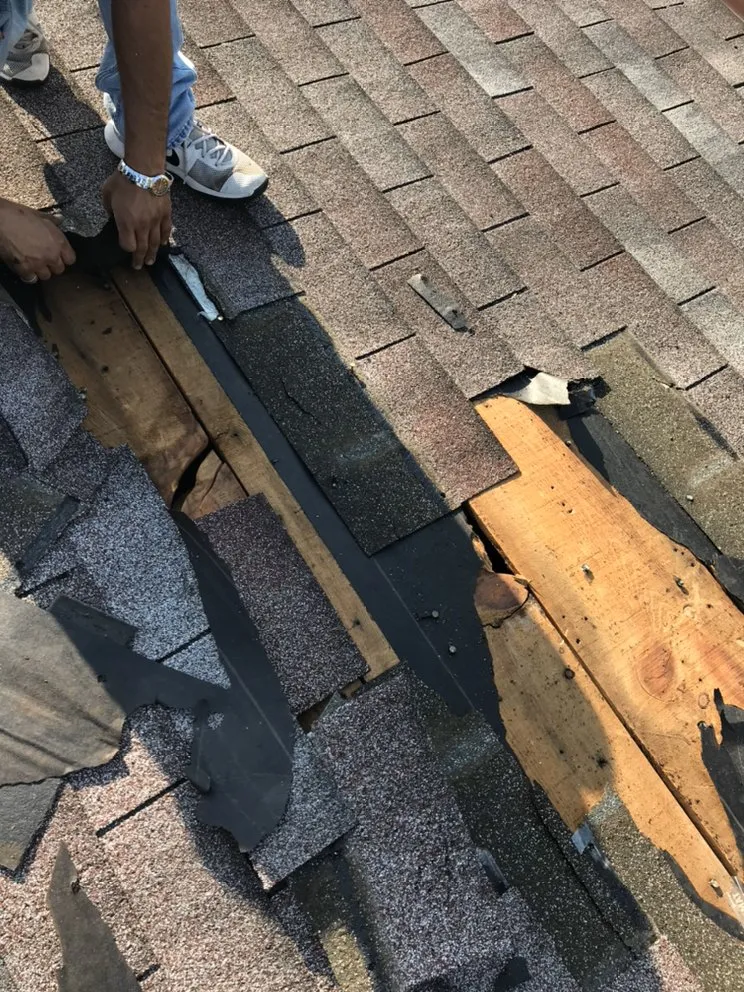 Slide of Seal Source