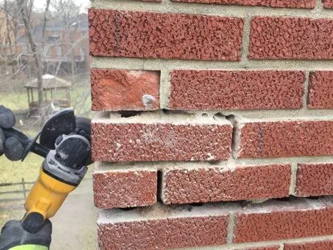 Slide of Seal Source