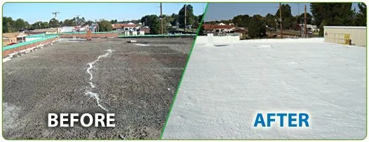 Slide of Seal Source