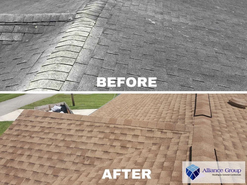 Slide of Seal Source