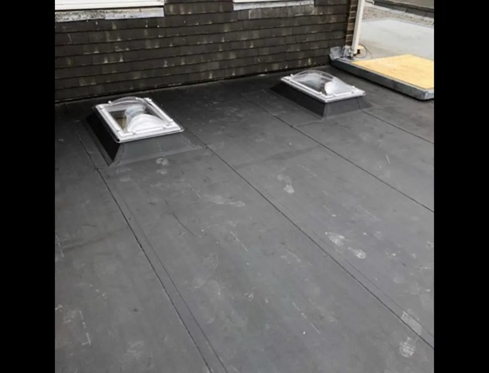 Slide of Seal Source