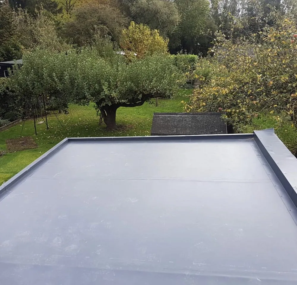 Slide of Seal Source