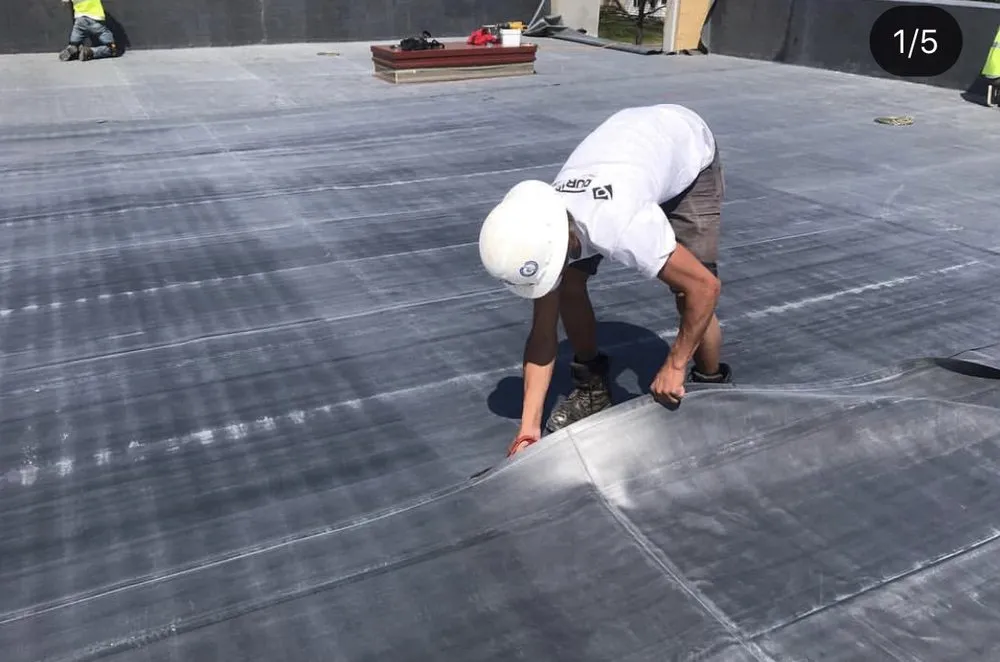 Slide of Seal Source