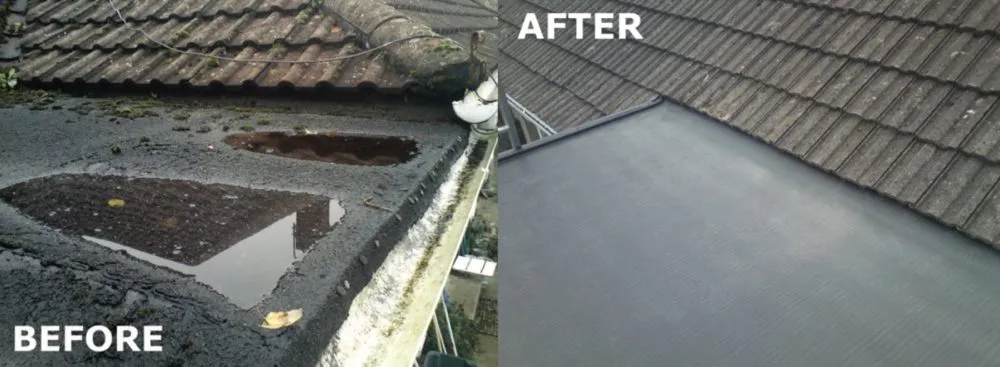 Slide of Seal Source