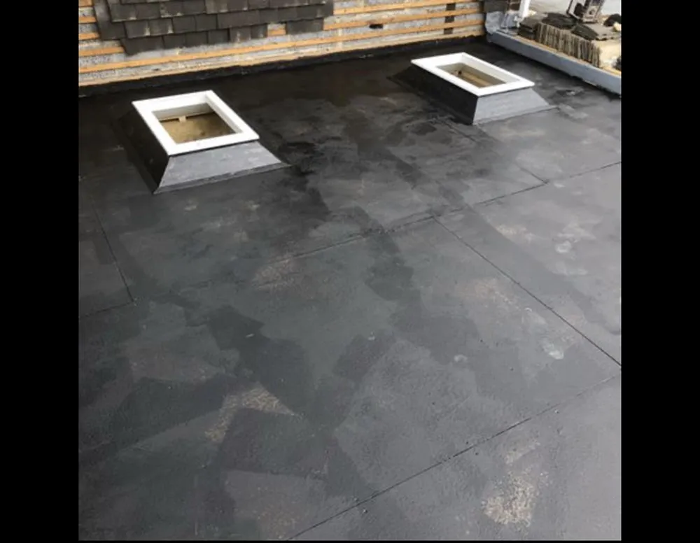 Slide of Seal Source