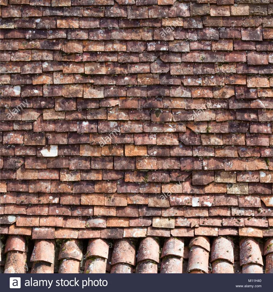 Slide of Seal Source