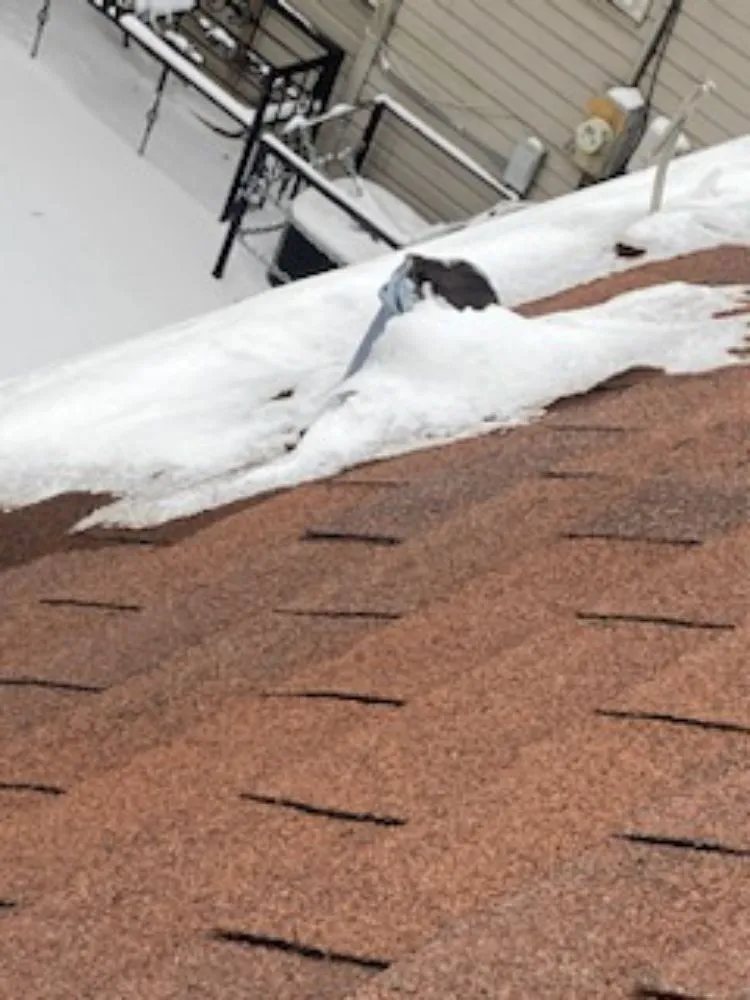 Slide of Sealed Solution Roofing