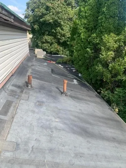 Slide of Sealtech Nation