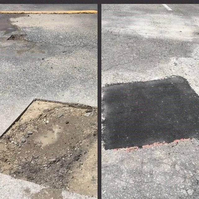 Slide of Sealtech Nation