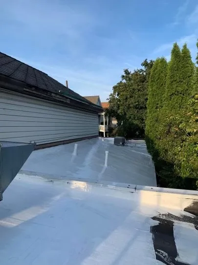 Slide of Sealtech Nation