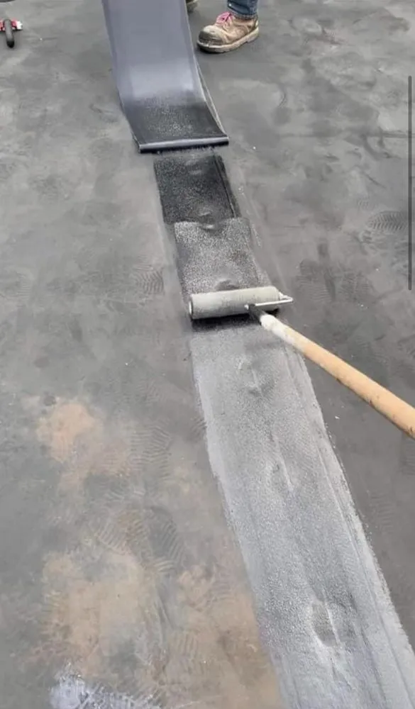 Slide of Sealtech Nation