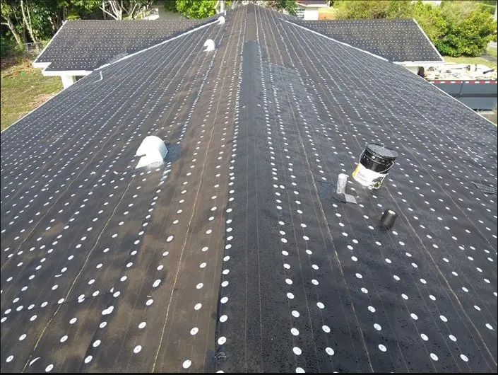 Slide of Sealy Trinbago