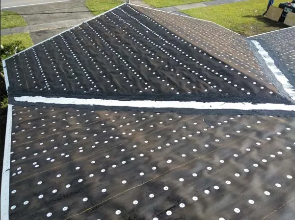 Slide of Sealy Trinbago