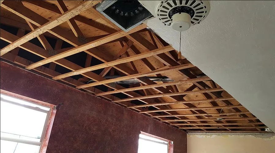 Slide of Sealy Trinbago