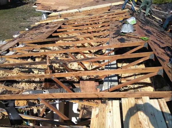 Slide of Sealy Trinbago