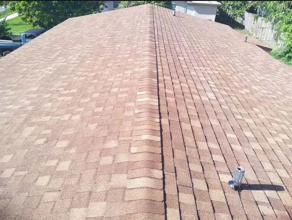 Slide of Sealy Trinbago