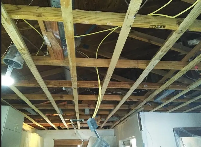 Slide of Sealy Trinbago